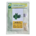 بذر خیار گلخانه ای نایجل(NIGEL) یوکسل ترکیه
