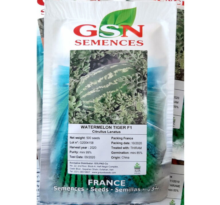 بذر هندوانه کریمسون هیبرید تایگر GSN فرانسه
