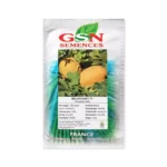 بذر ملون هیبرید آناناسی زاکی GSN فرانسه