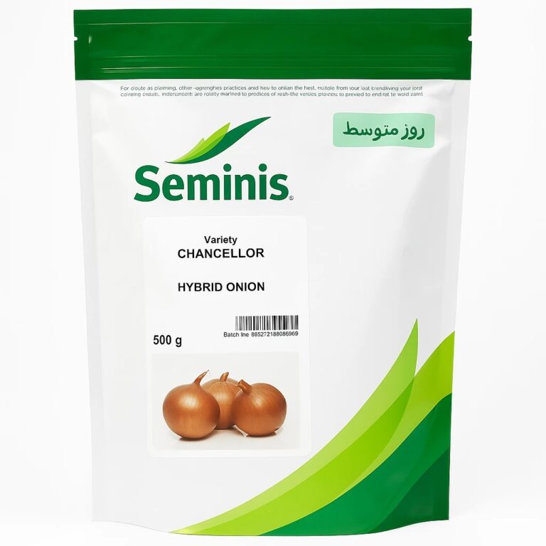 بذر پیاز زرد چنسلور(چنسلر) سمینیس