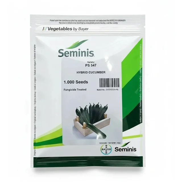 بذر خیار گلخانه ای پی اس547 سمینیس