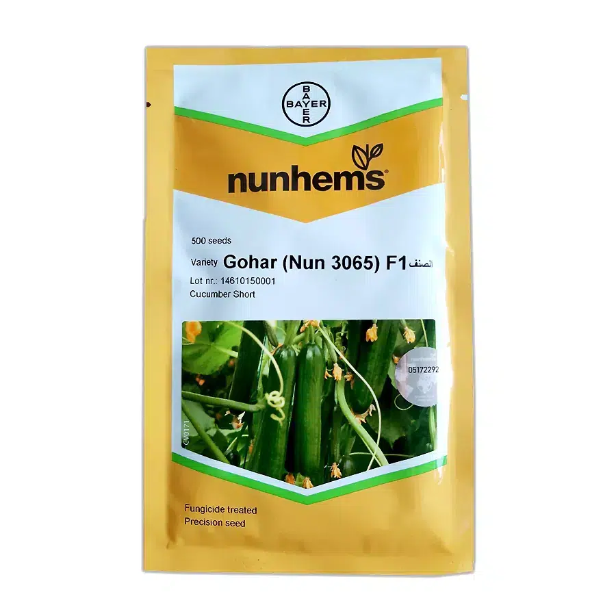 4c3b2c بذر خیار گلخانه ای گوهر نانهمز