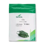 بذر خیار زمینی ۸۳۰۶ (PX8306) سمینیس