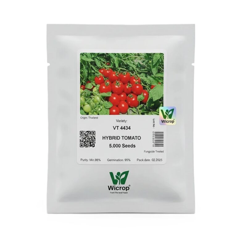 بذر گوجه VT4434 ویکراپ هلند