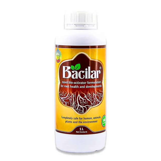82f7a4 کود ریشه زا باسیلار ردسا
