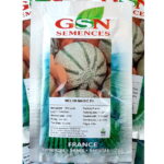 بذر ملون هیبرید مجیک GSN فرانسه