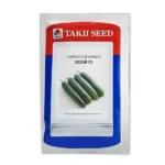 بذر خیار گلخانه ای سزار تاکی