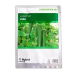 بذر خیار گلخانه ای داتیس